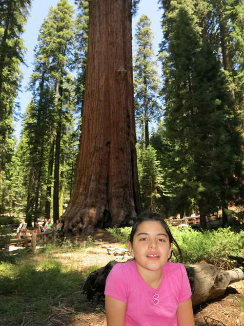 USA_2013-07-07 11-41-55_IMG_1134